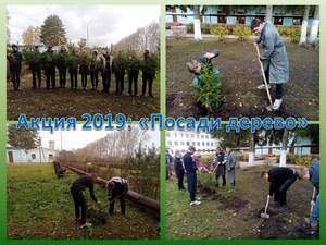 Акция 2019 "Посади дерево"